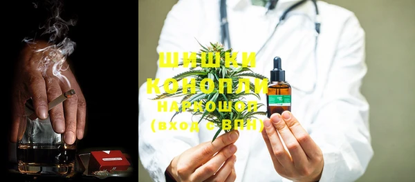бошки Белокуриха