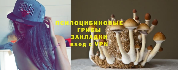 Альфа ПВП Беломорск