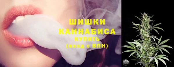 бошки Белокуриха