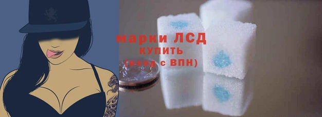 Альфа ПВП Беломорск