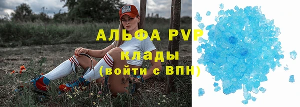 бошки Белокуриха