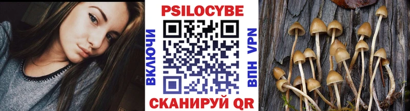 Псилоцибиновые грибы Psilocybe Валуйки