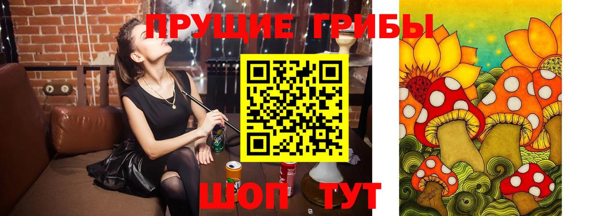 где купить наркоту  Галлюциногенные грибы прущие грибы  Вход с VPN  Валуйки 